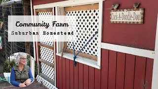 Suburban Homestead | Community Farm | Growing Food