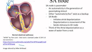 EKG introduction Dubin Chapter 1