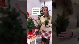 🎄 STROM alebo STROMČEK (Learn Slovak | Christmas Vocabulary)  #learnslovak #slovakforforeigners