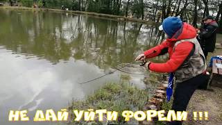 Мисайлово Trout. Форель клюёт исправно