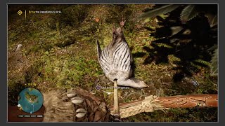 Urki Fly Like Bird Mission | Far Cry Primal | Snow Bird Location 2016