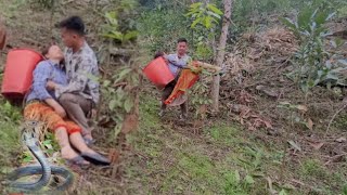 While planting melons, his wife suddenly fainted.