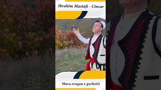 Ibrahim Mustafi   Cincar  - Mora rrygen e gurbetit