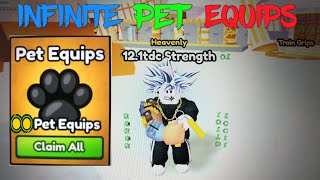 INFINITE Pet Equips and MATRIX AURA!