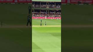 Sufiyan mukim pic first wicket #cricket #pakvsaus #cricketlover #pakvsaushighlights #shorts