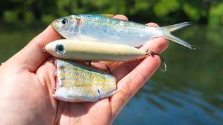 Fishing 3 Techniques To Catch Redfish, Snook, & Trout