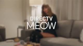 taylor swift commercial - merideth cat