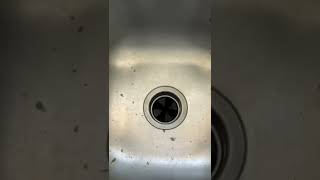 Clearing a garbage disposal jam!