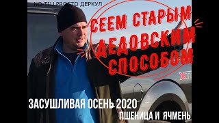 Посев озимой пшеницы и ячменя. Засуха осенью 2020