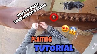 Plaiting Tutorial // How To Plait Your Horse's Mane