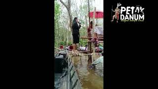 MIRIS‼️Pemakaman suku dayak saat musibah banjir