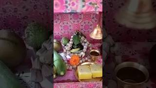 Shivratri Special puja🙏🙏🙏Har har Mahadev #minivlog #shivratrispecial #bholanath #pujavlog