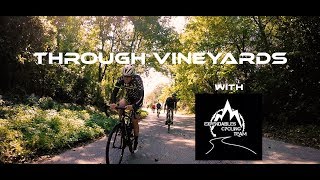 Through Vineyards with Expendables Cycling Team