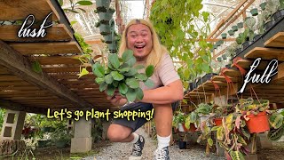 Plant Shopping: Houseplant Oasis Worth the Drive!