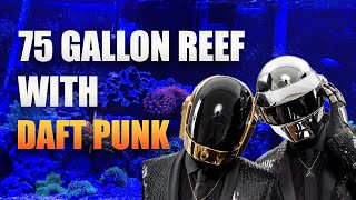 75 Gallon Reef Tank With Daft Punk