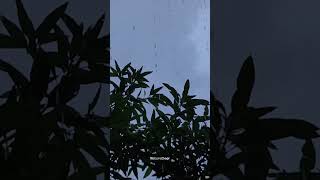 Shorts Rain Video For Study And Sleeping #shorts #ytshots #raindsound #rain #villagerainyday #nature