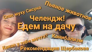 Влог: Едем на дачу / Спасаем муху Сисуна / Ученик Щербакова / (выйграй 1000р читай описание к видео)