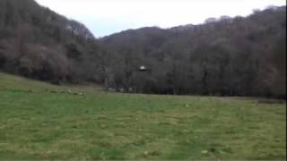 Ufo footage Devon 5th March 2011 ?