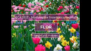 04 - Flor - 7