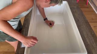 Fireclay Farmhouse Sink Leveling