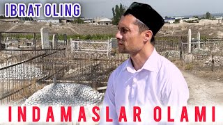 Indamaslar olami G'olib tanbur ibratli qo'shiq