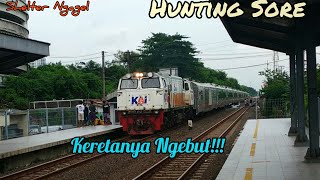 KERETANYA NGEBUTT!!! | Hunting Sore Di Shelter Ngagel Surabaya