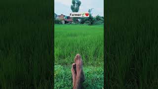 Tumhara sirf waqt aya h, humara daur ayega|Farmer life|middle class boy's|#shorts #farmer #middle