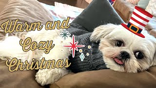 Chase the Shih Tzu Celebrates Christmas with Loona and Yogi | Christmas 2022