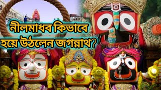 নীলমাধব কিভাবে হয়ে উঠলেন জগদীশ্বর জগন্নাথ🙏? পুরীধামেরকিছু অজানা তথ্য||Jagannathdham|| #youtubevideo