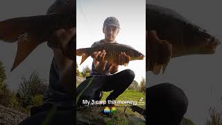 My 3 carp from this morning 🌄 #fishing #fishingvideo #fish #carpfishing #carp #angler #justfishing #