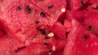 Yummy melon Everytime #fruit #youtubeshorts #shortsfeed