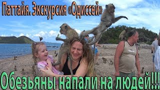 Паттайя. Экскурсия Одиссей с детьми. Обезьяны напали на людей!