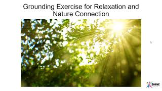 Part 2 - Grounding - Nature Connection Video delivered by Stacy at Shine Coaching