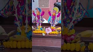 Bhajo Nitai Gour Radha Shyam #gournitai #radheyshyam #mayapur