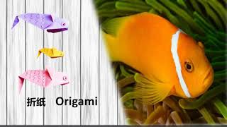 An easy way to make origami fish