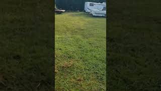 Checking if it's time to rake the hay.