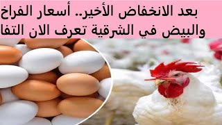 بعد الانخفاض الأخير.. أسعار الفراخ والبيض في الشرقية