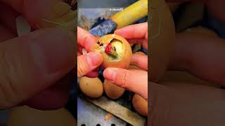 p597 | Balut eggs are super delicious #asmr #mukabang #funny