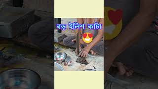 Ilish kata || রূপালী ইলিশ কাটা #ilish #ইলিশ #ilish_fish_cutting #shorts  #vlog #minivlog #trending