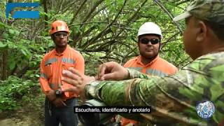 Así es el monitoreo de aves en Puerto Nuevo