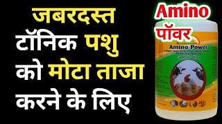 Amino Power। Animal growth tonic । Pashu ka wajan badhane ka Tonic ।