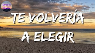 ♪♪ Calibre 50 - Te Volvería A Elegir || Luis R Conriquez, BANDA MS, Marca MP (Letras\Lyrics)