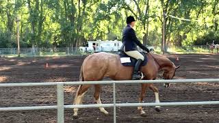 2023-08-12 Lilly Hunter under Saddle