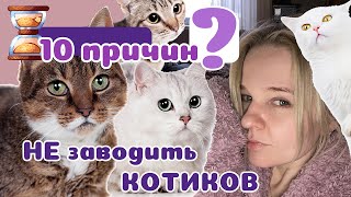 10 причин НЕ заводить котов и кошек.