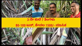 80 -100 ಟನ್ ಕಬ್ಬು  ಪ್ರತಿ ಬೆಳೆಗೆ ಕೇವಲ 15000/- Sugarcane Farming Kiran prakash 9739296091