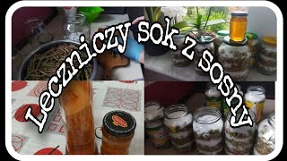 Leczniczy sok z SOSNY.