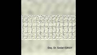 The EEG findings of SSPE, Subacute Sclerosing Panencephalitis (SSPE)