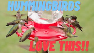 Make Your Own Hummingbird Food: Natural Nectar: Save Money #diy #frugal #hummingbird #homestead