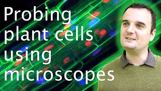 Vacuoles: using microscopy to view plant cell secrets - Joe McKenna🧫🔬