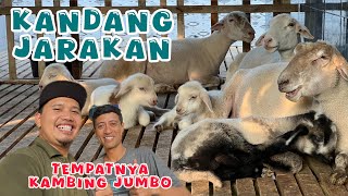 Anak cucu abimanyu kandang jarakan ngawi